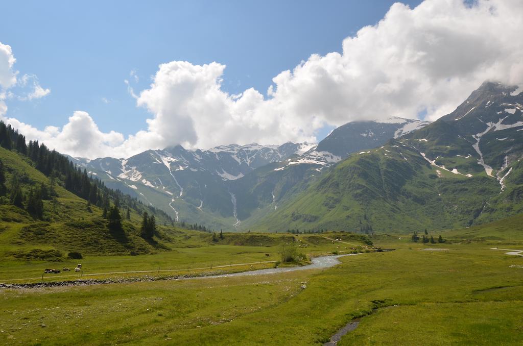 باد هوفغاستين Winklers Gipfelblick Chalet, Inklusive Alpentherme - Ganzjahrig, Gasteiner Bergbahn - Nur Sommer المظهر الخارجي الصورة