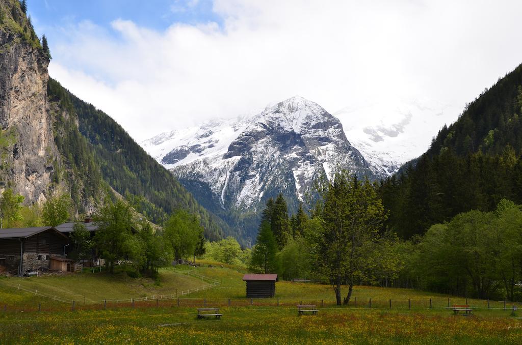Winklers Gipfelblick Chalet, Inklusive Alpentherme - Ganzjaehrig, Gasteiner Bergbahn - Nur Sommer باد هوفغاستين المظهر الخارجي الصورة