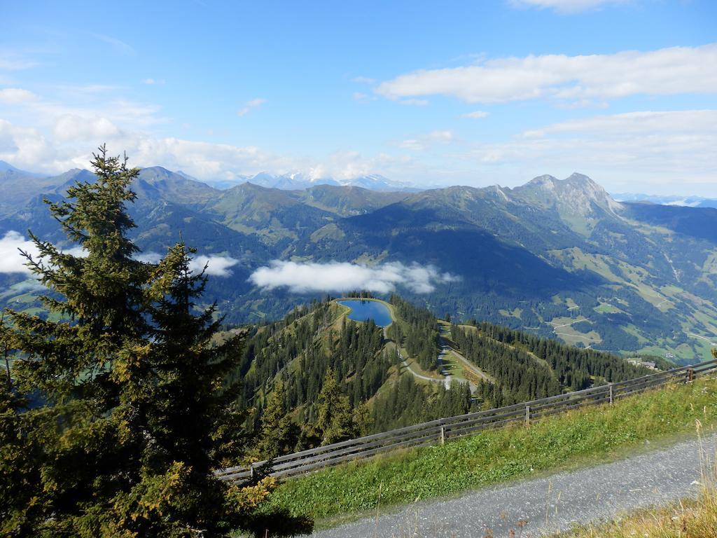 Winklers Gipfelblick Chalet, Inklusive Alpentherme - Ganzjaehrig, Gasteiner Bergbahn - Nur Sommer باد هوفغاستين المظهر الخارجي الصورة